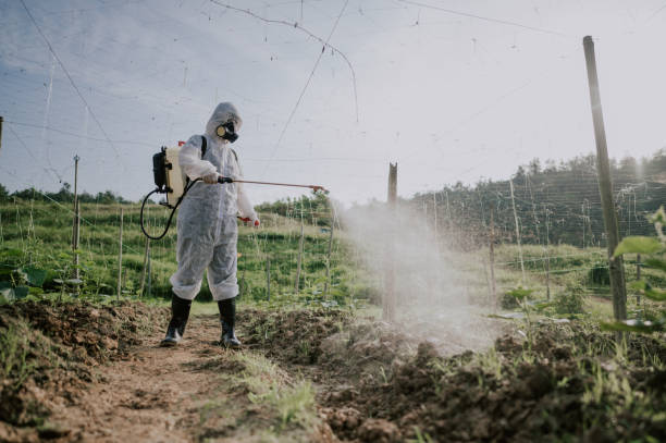 Best Commercial Pest Control Services  in Tunnel Hill, GA