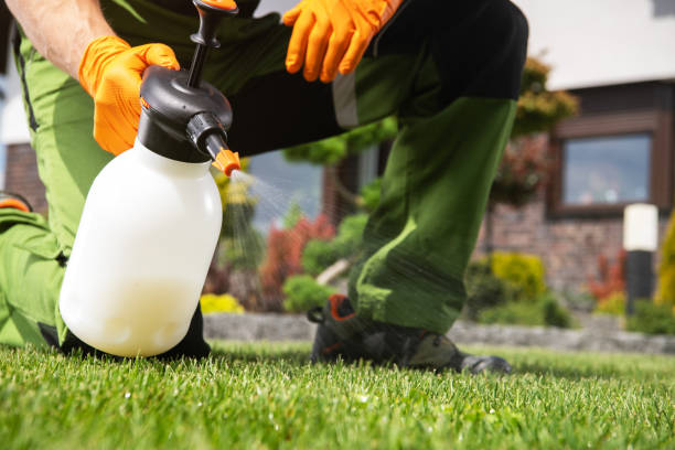 Best Best Pest Control Companies  in Tunnel Hill, GA