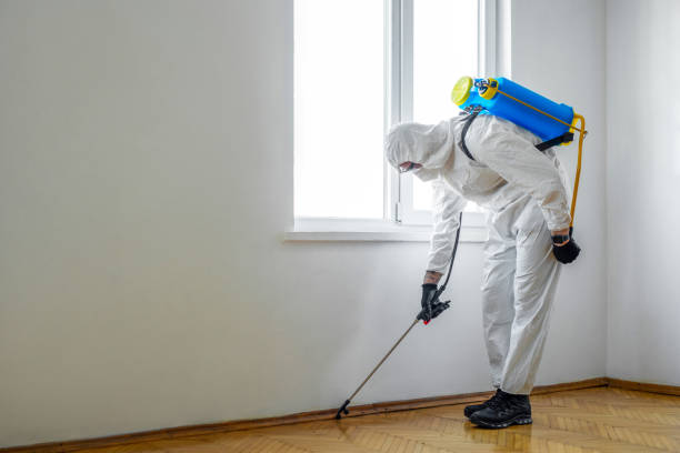 Best Pest Prevention Services  in Tunnel Hill, GA
