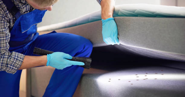 Best Pest Removal Services  in Tunnel Hill, GA
