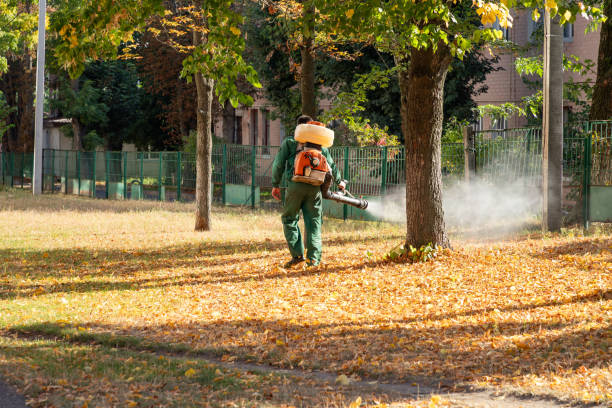 Best Local Pest Control Services  in Tunnel Hill, GA