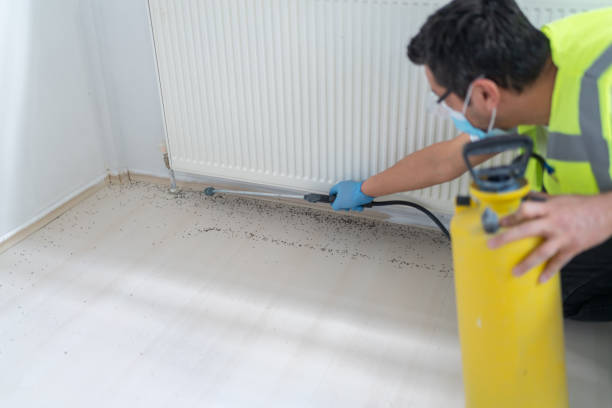 Best Pest Control for Restaurants  in Tunnel Hill, GA