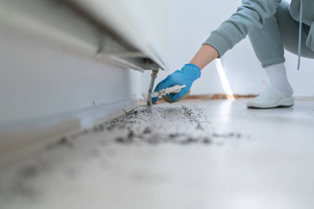 Best Insect Control  in Tunnel Hill, GA
