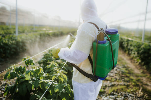 Best Termite Control Services  in Tunnel Hill, GA
